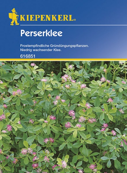 Perseklee Trifolium resupinatum