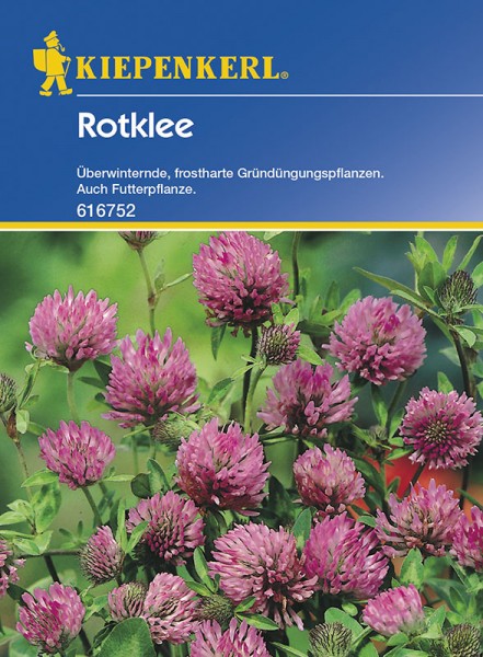 Rotklee Trifolium