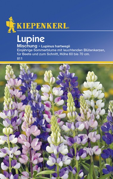 Lupinen einjährige Mischung