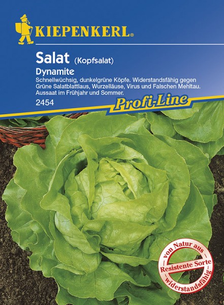 2454_Kopfsalat_Dynamite