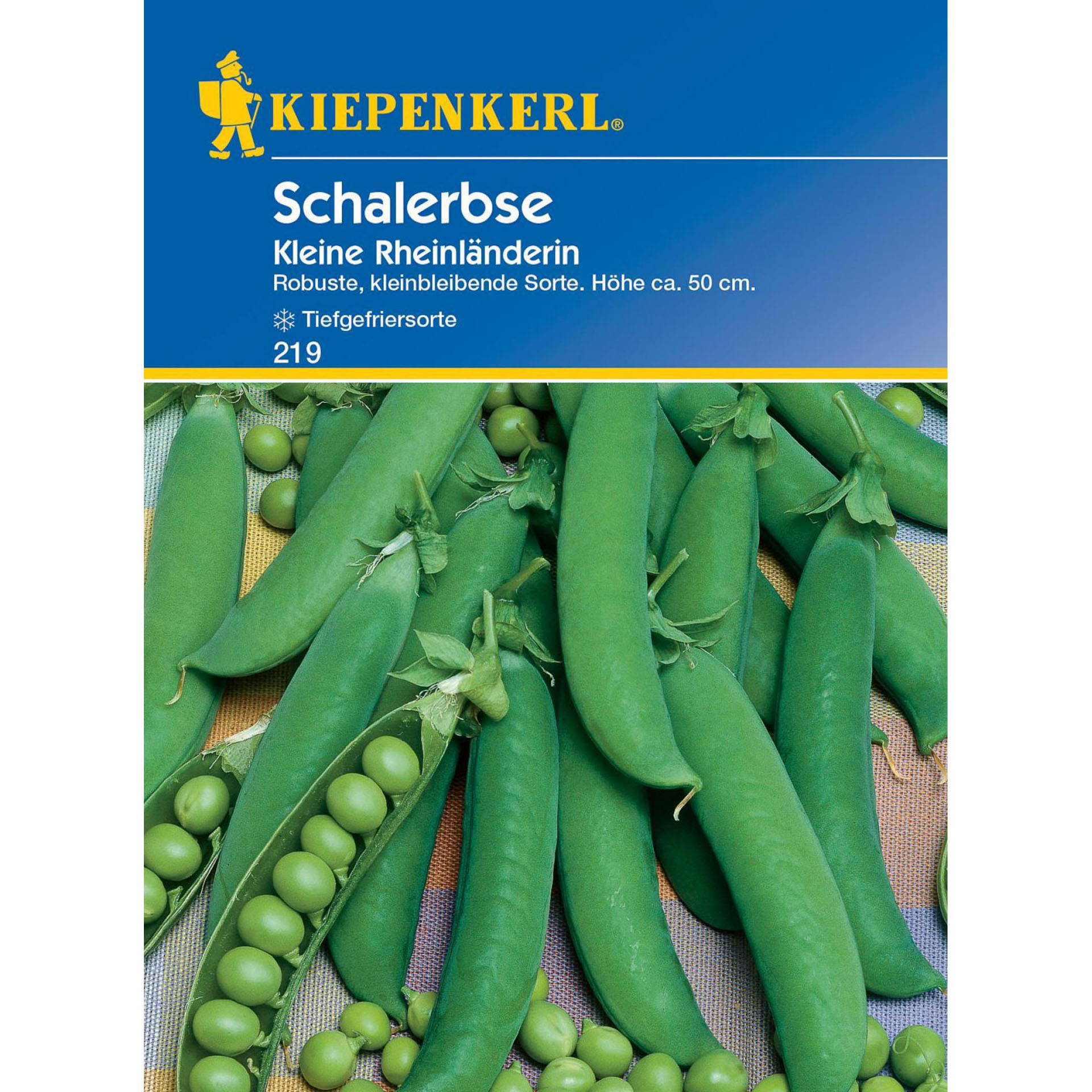 Schalerbse Kleine Rheinländerin Gemüsesamen
