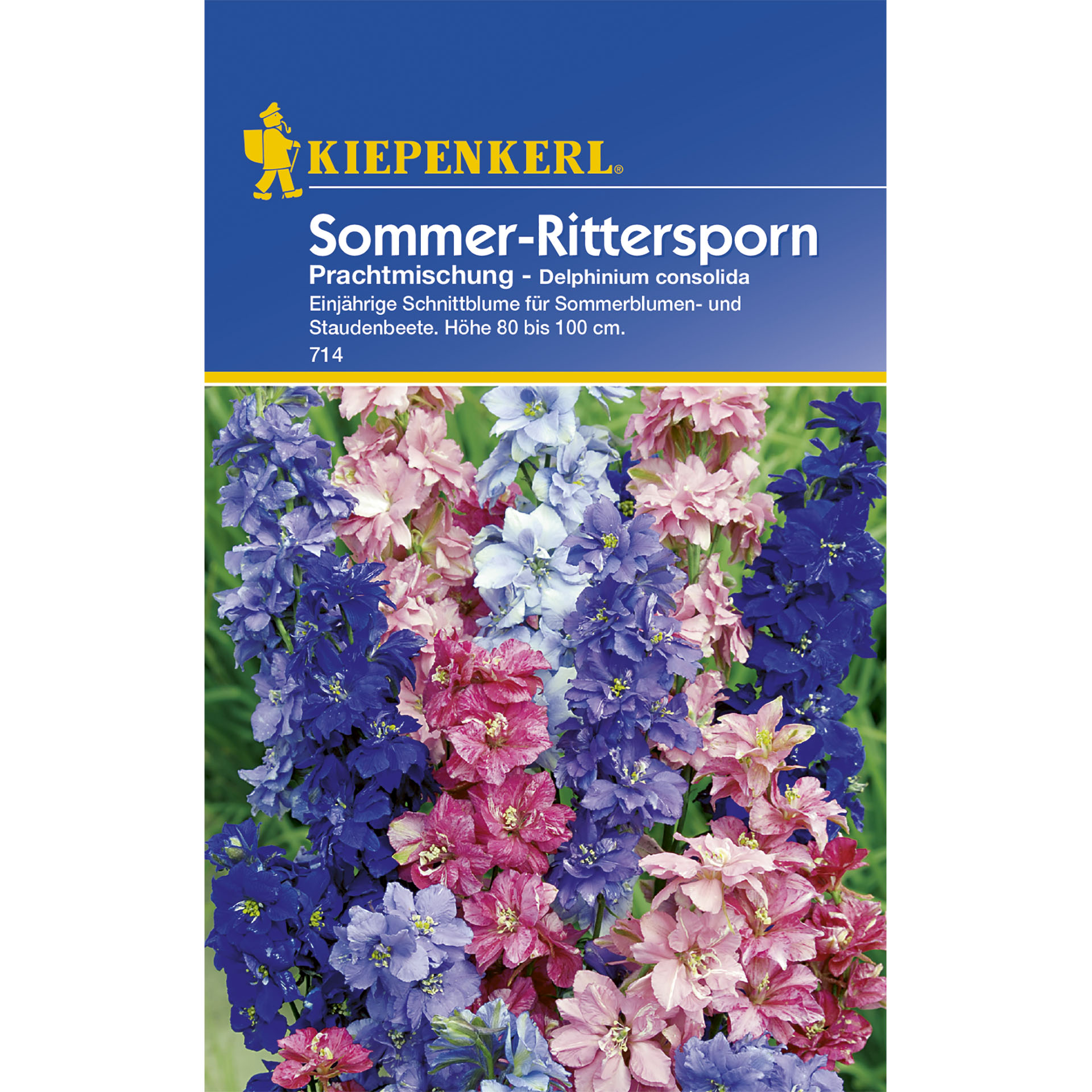 Sommer-Rittersporn Prachtmischung -  Delphinum consolida PG-C 