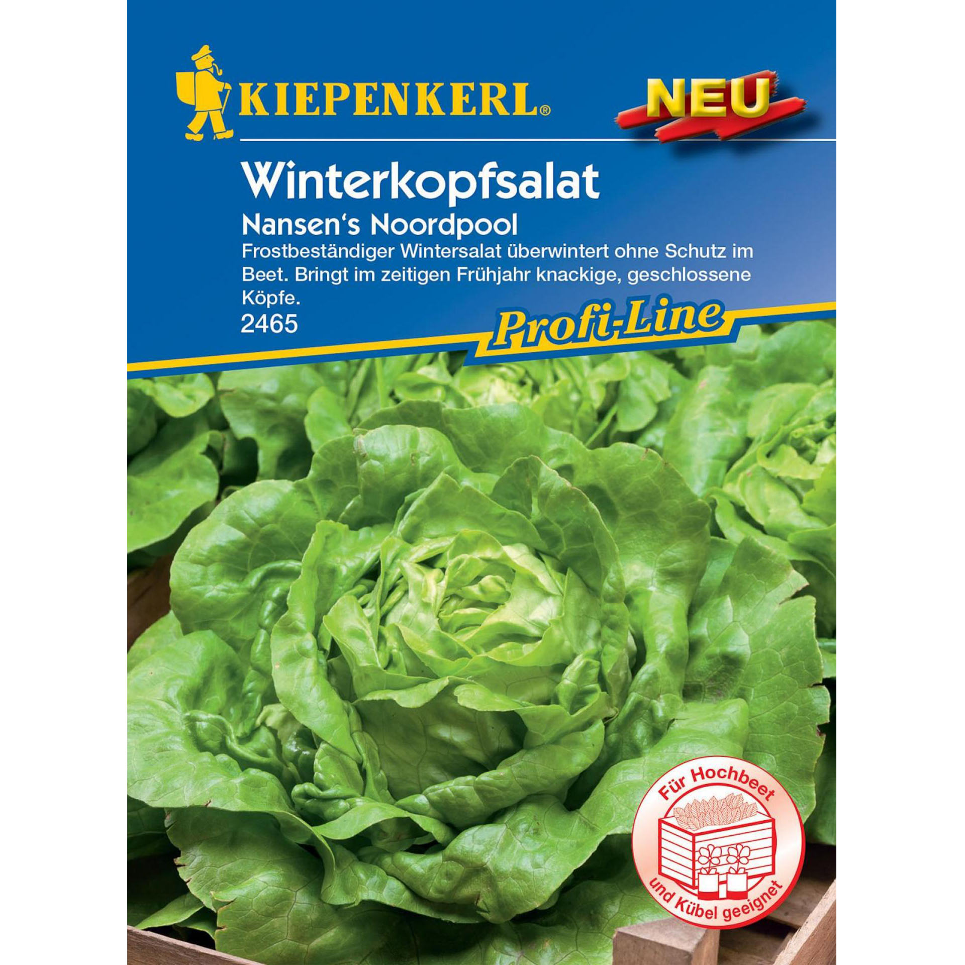 Gemüsesamen Winterkkopfsalat Kopfsalat Salat Sämereien Gemüsegarten Hobbygärtner