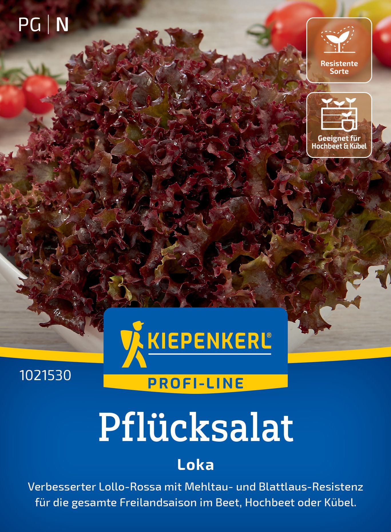Werbung, Plakat, Essen, Produzieren, Kopfsalat