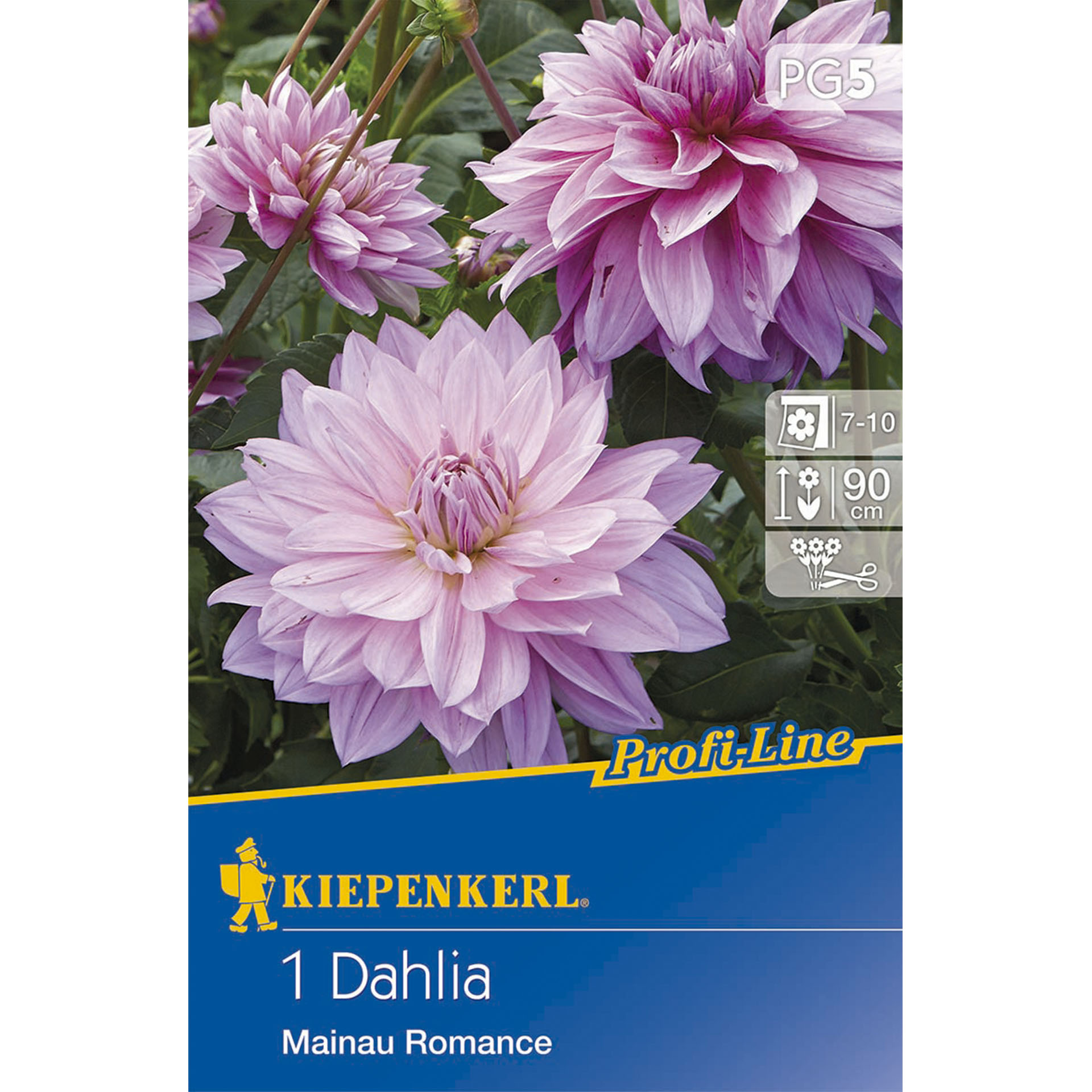 Verpackung mit Foto von Dahlie Mainau Romance