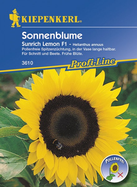 Sonnenblume Sunrich Lemon