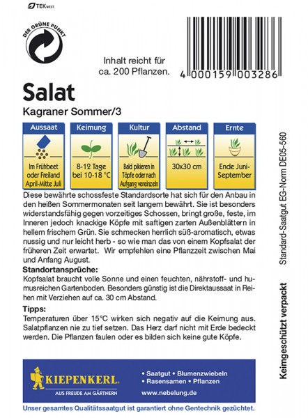 328_Kopfsalat_Kagraner_Sommer