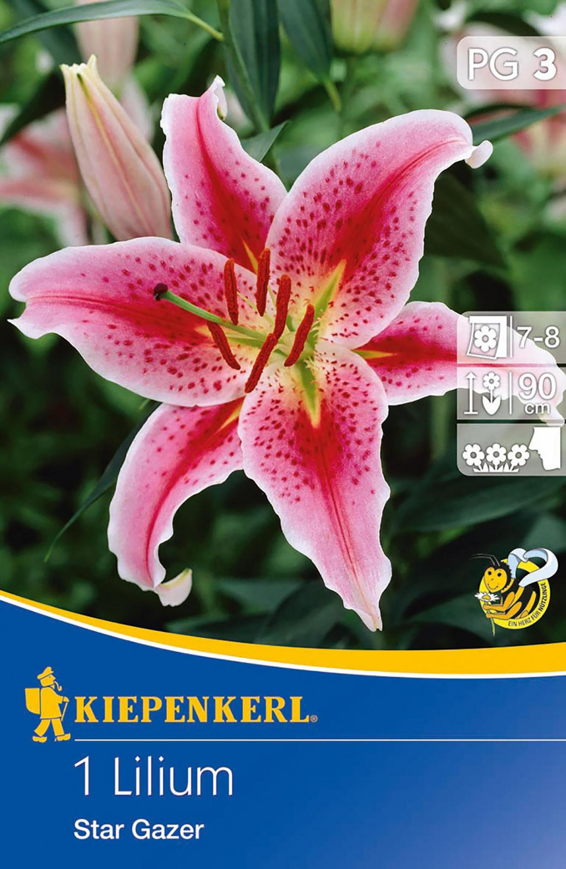 Lilie Stargazer PG-3
