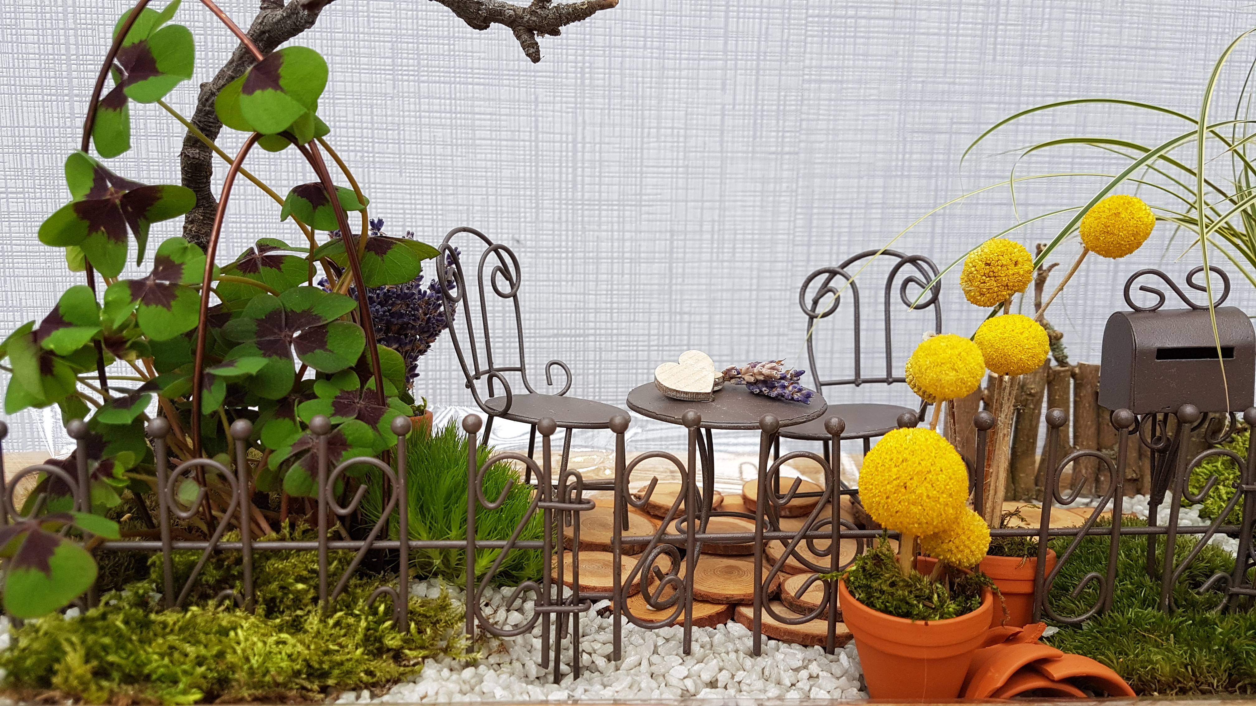 minigärten als kleinen garten dekoriert mit pflanzen und dekorationen