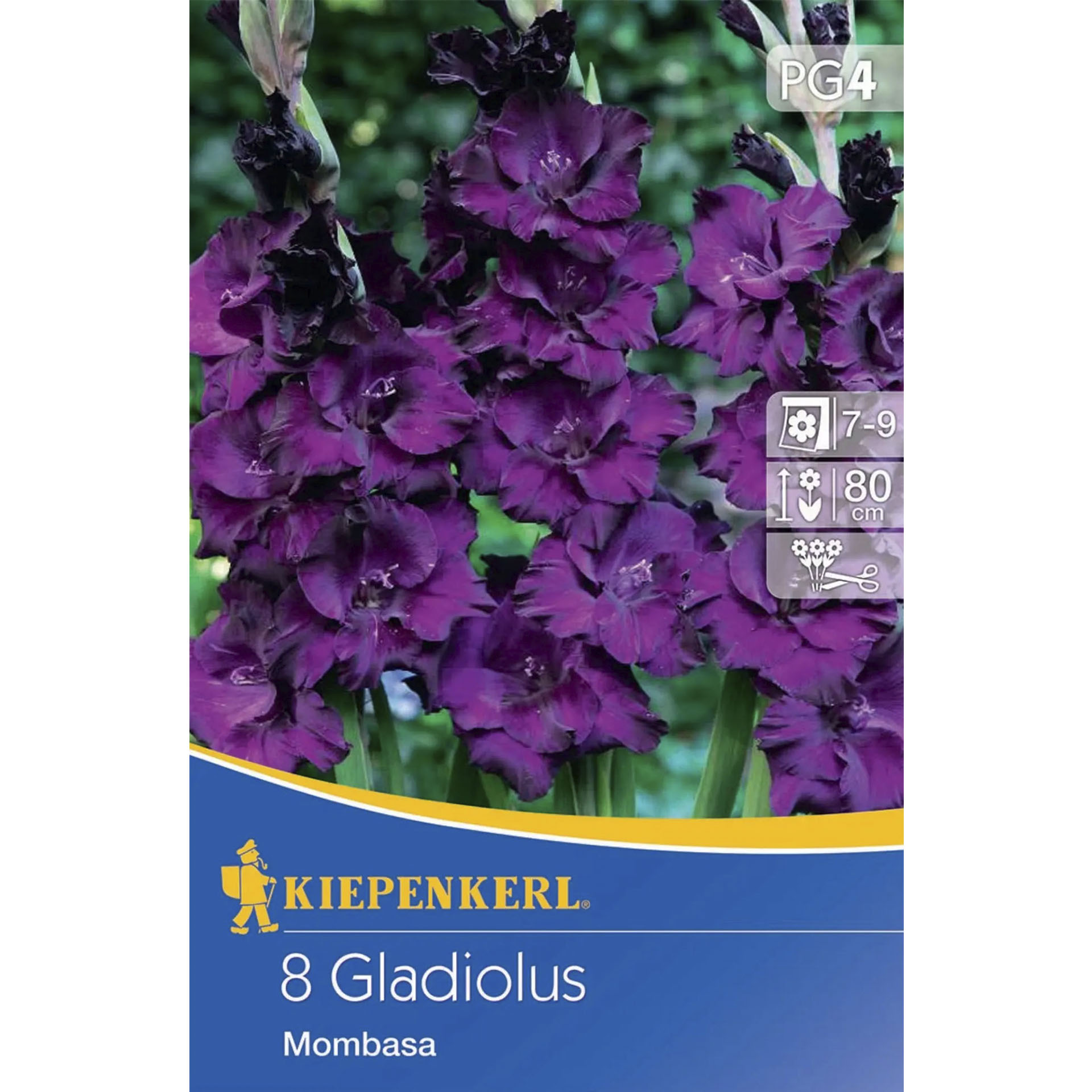 Beutel mit Bild Gladiole auf Pappdeckel