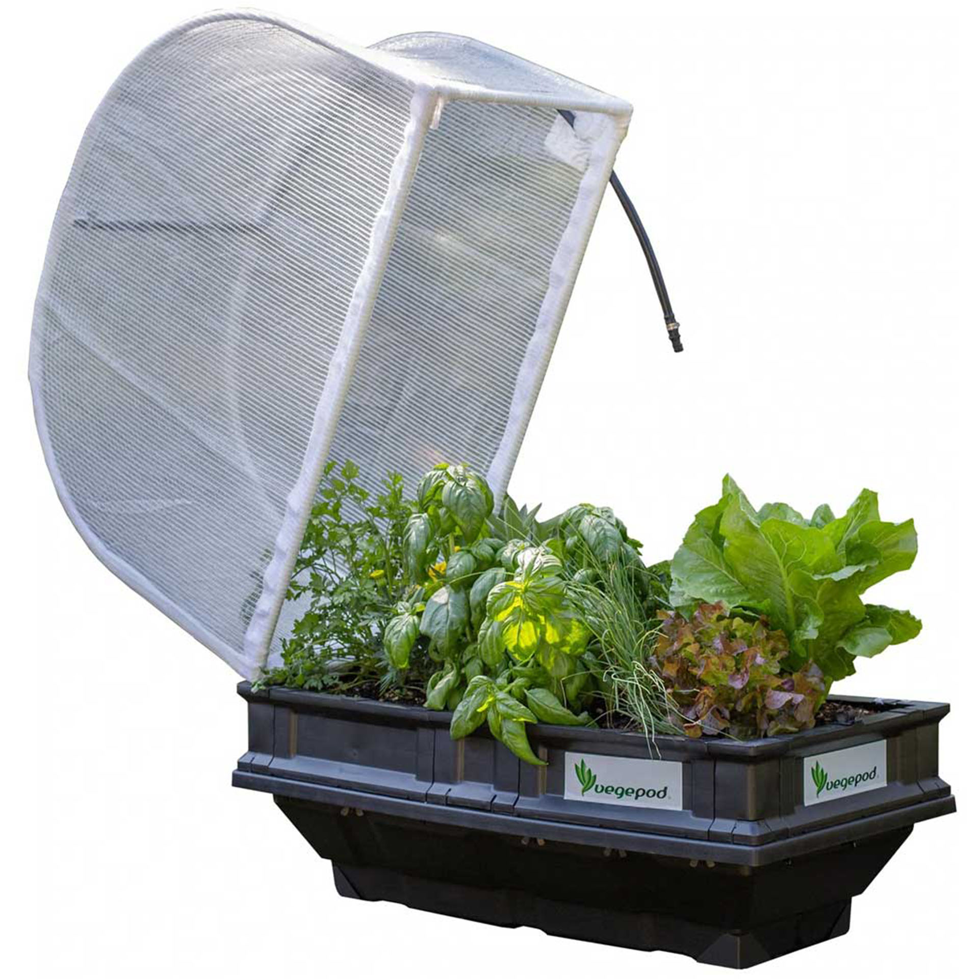 Vegepod small Hochbeet mit Abdeckung 50x100cm