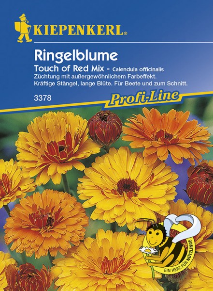 Ringelblume Touch of Red Mix