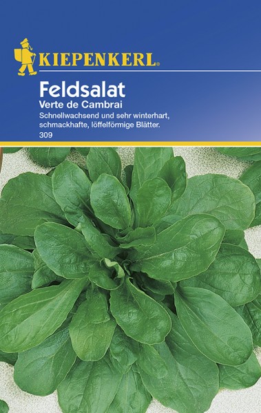 Feldsalat Verte de Cambrai
