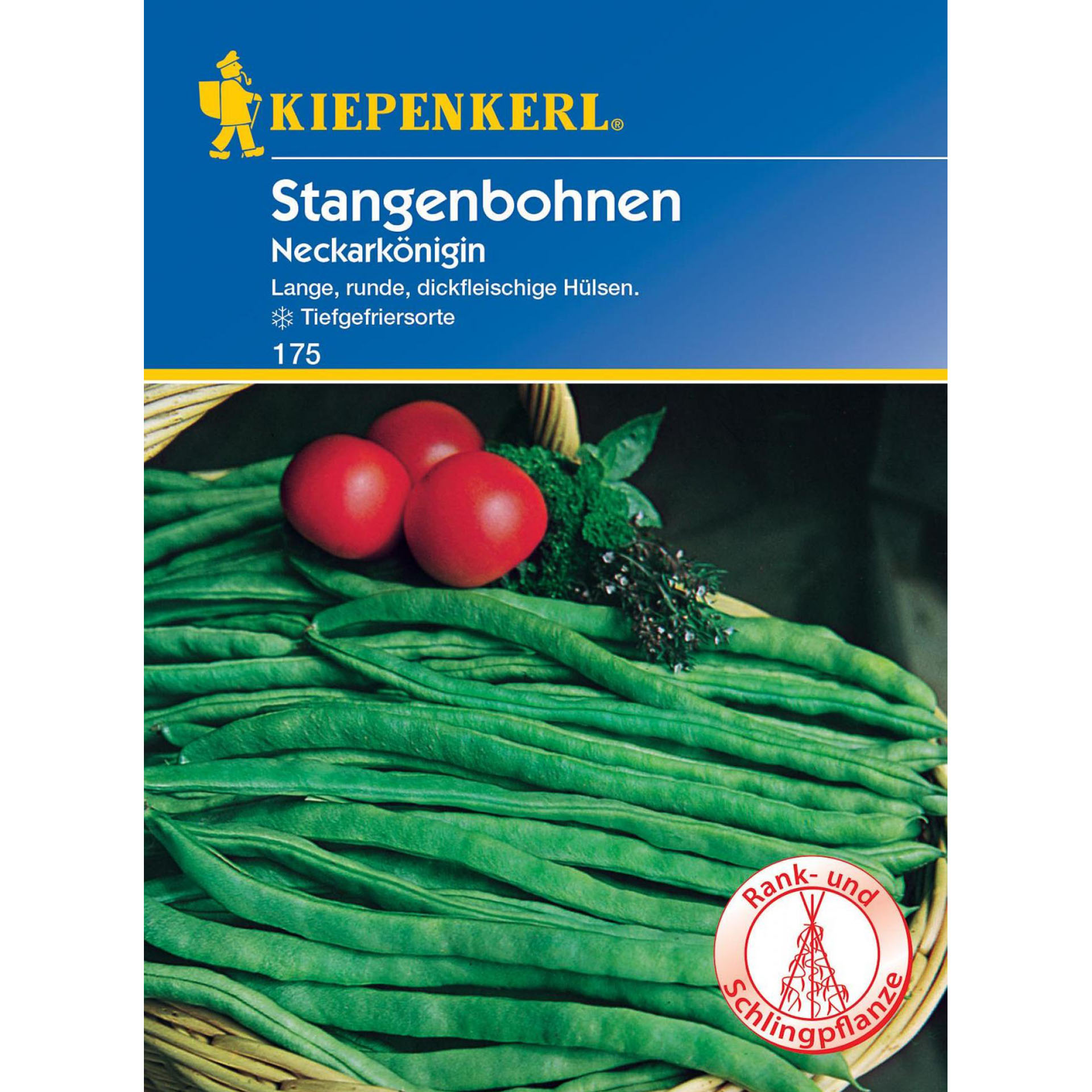 Stangenbohnen Neckarkönigin Gemüsesamen