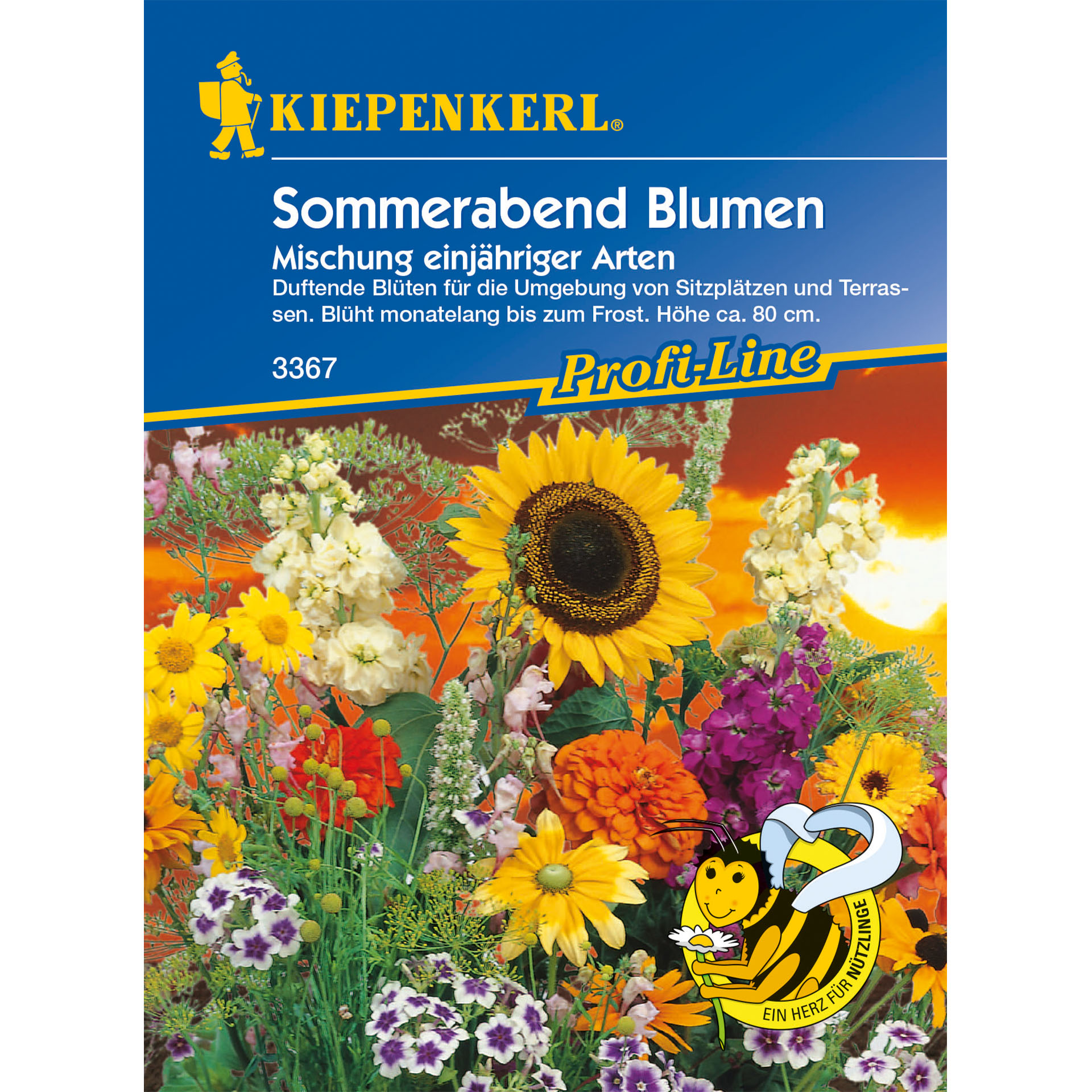 blühende Blumenmischung