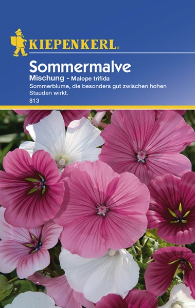 Sommermalve Malope Mischung