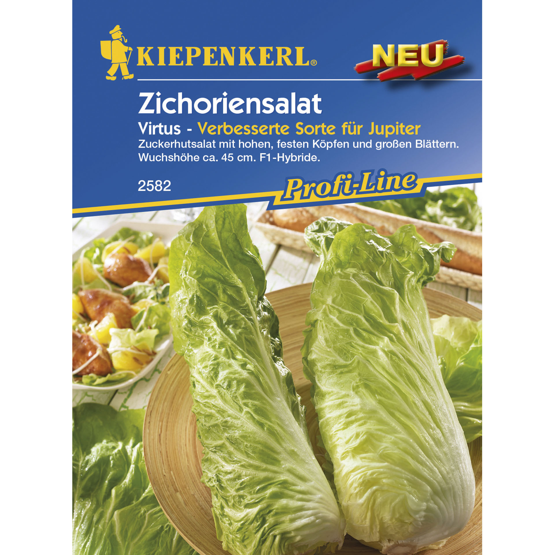 hohe, feste Köpfe mit großen Blättern in hellgrün