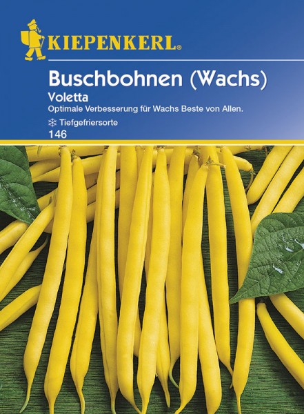 Buschbohnen Wachsbohnen Voletta