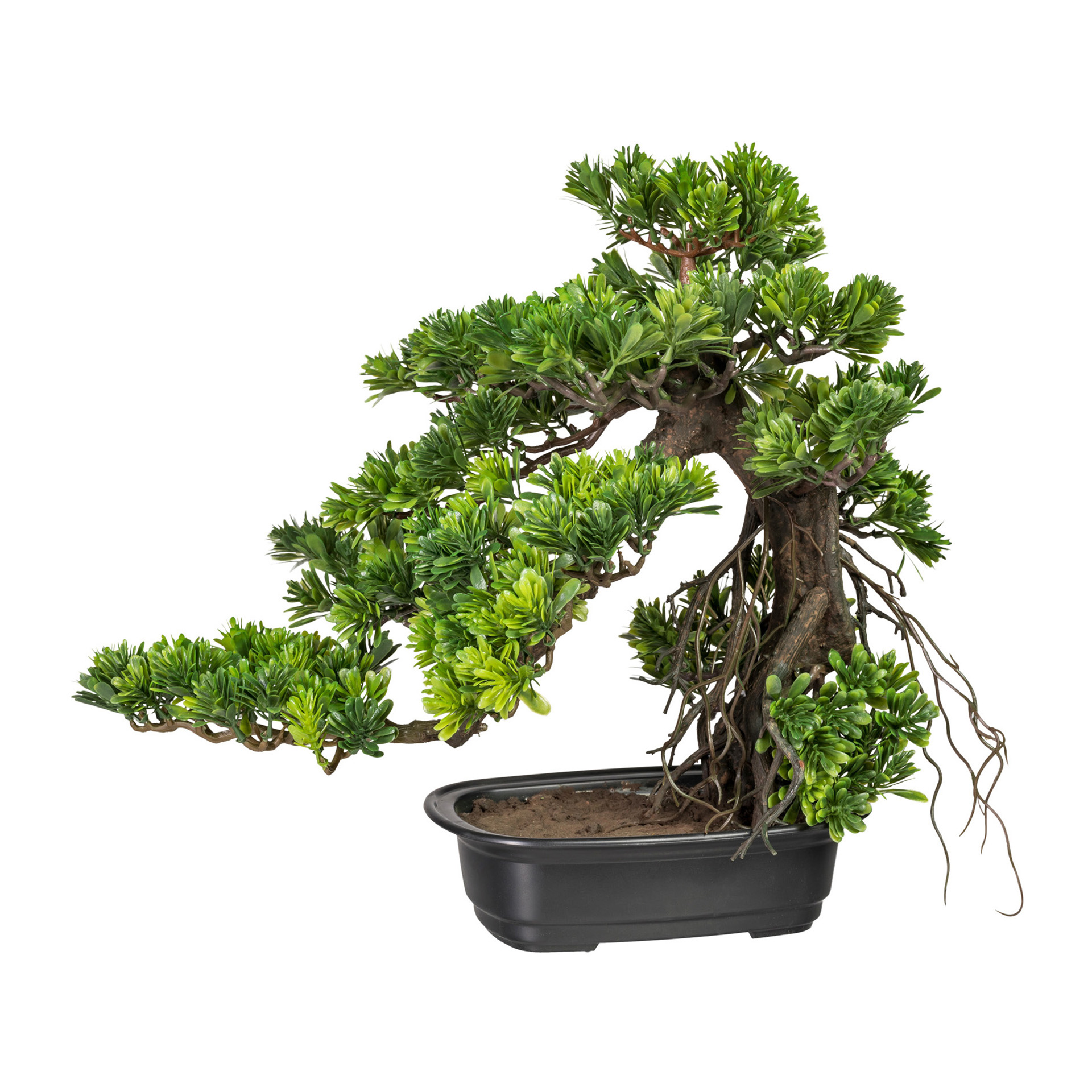 Bonsai Podocarpus Kunstpflanze
