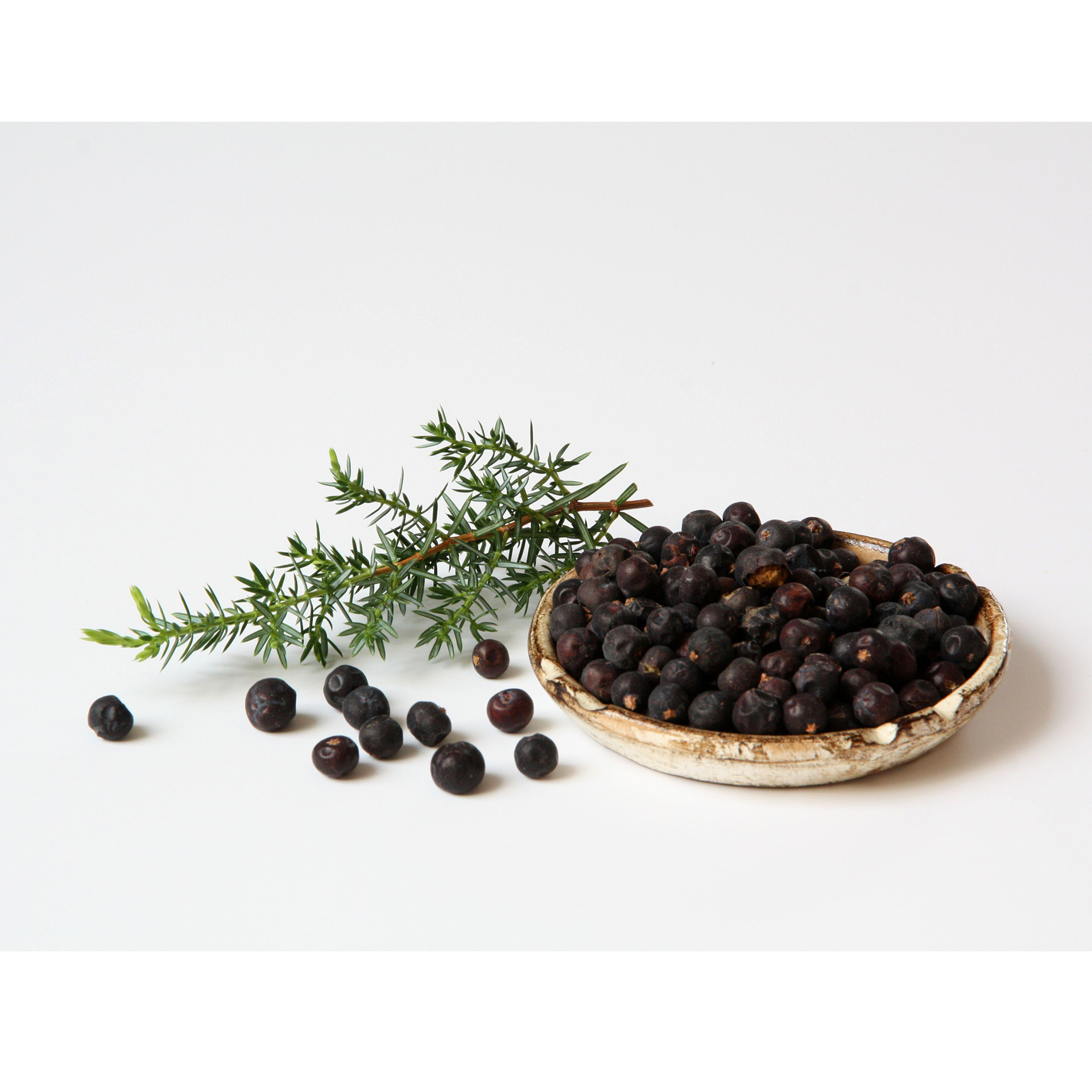 BIO Grill-Wacholder - Juniperus communis 'Meyer', 12cm Topf