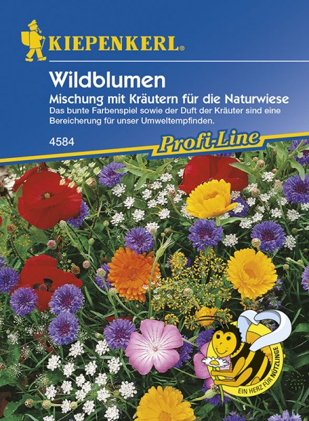 Wildblumen-Mischung mit Kräutern