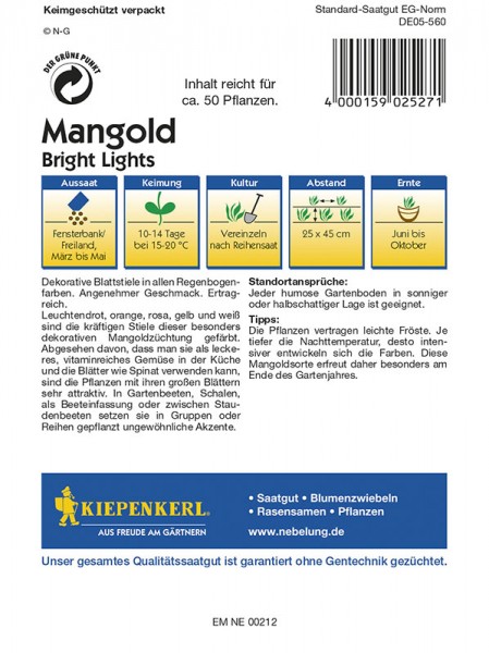 Mangold Bright Lights