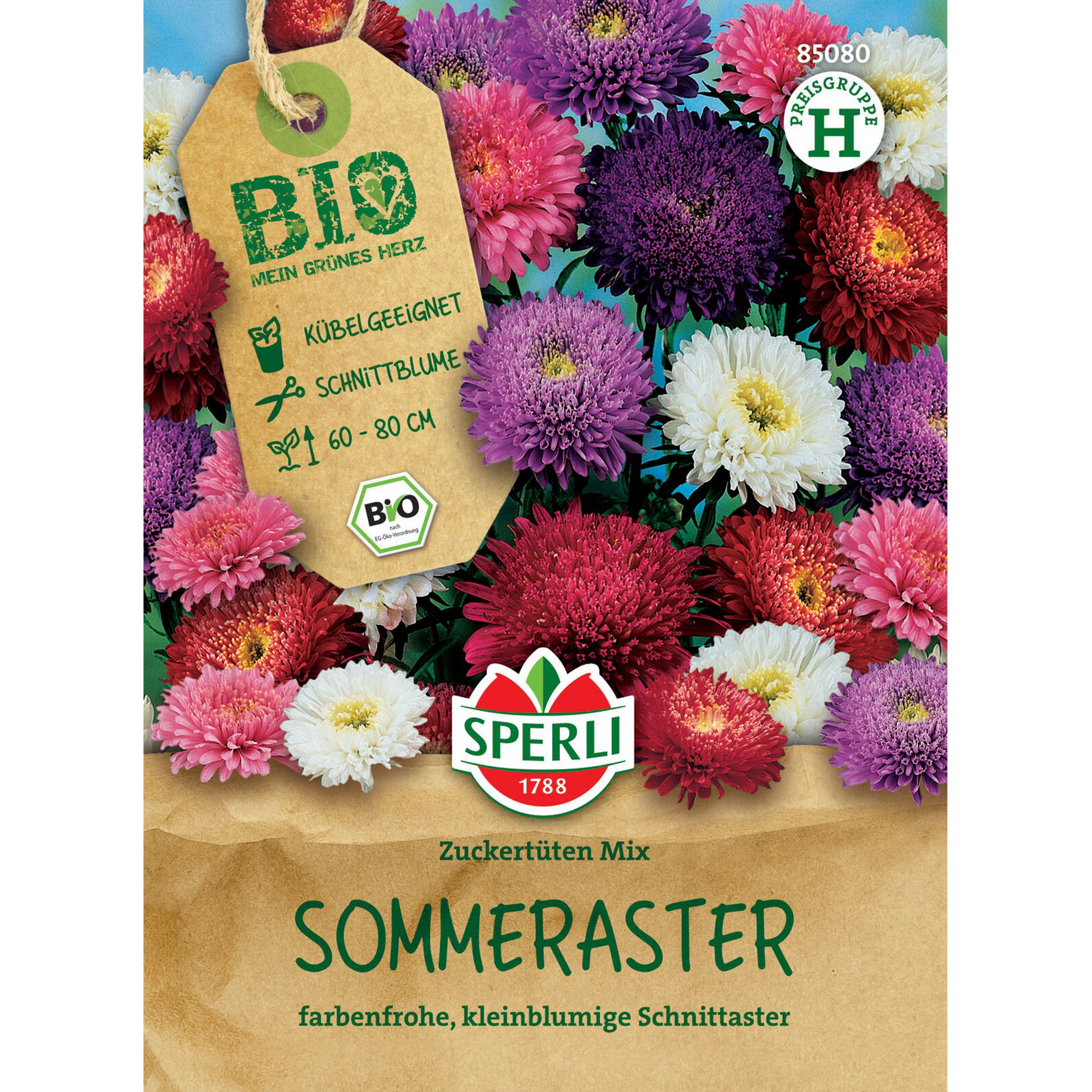 BIO Sommeraster 'Zuckertüten Mix', Blumensamen