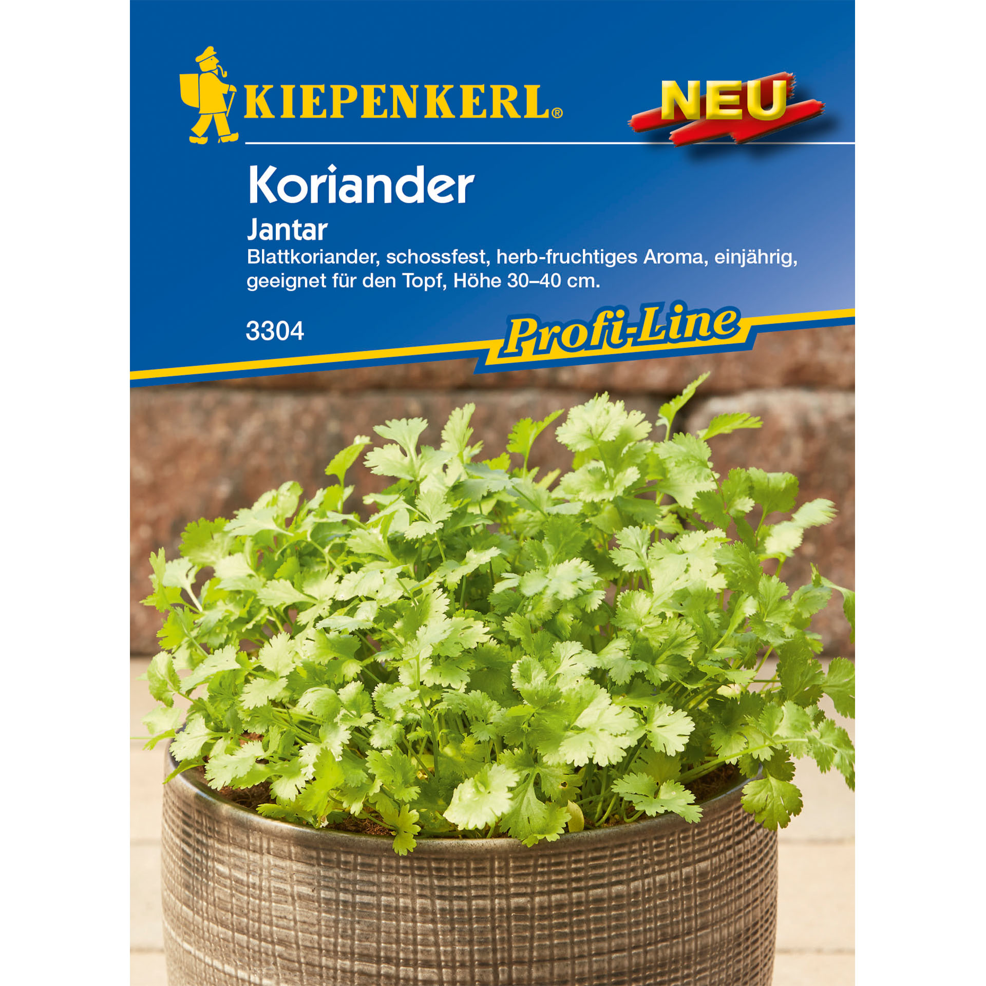 Koriander / Blattkoriander Jantar, Kräutersamen
