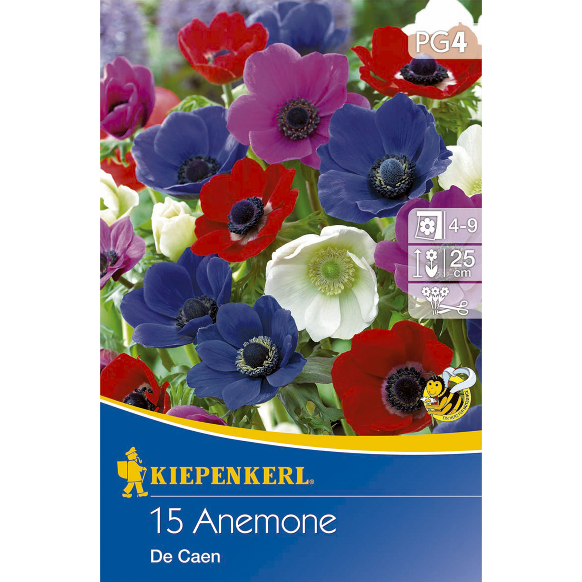 Bunte Anemonen auf Verpackung