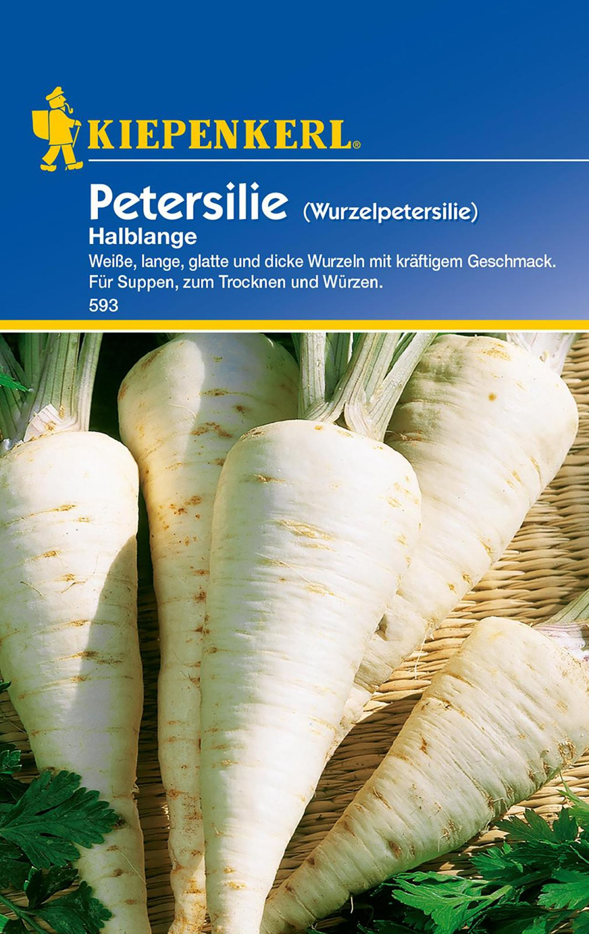 Petersilie (Wurzelpetersilie) PG-C