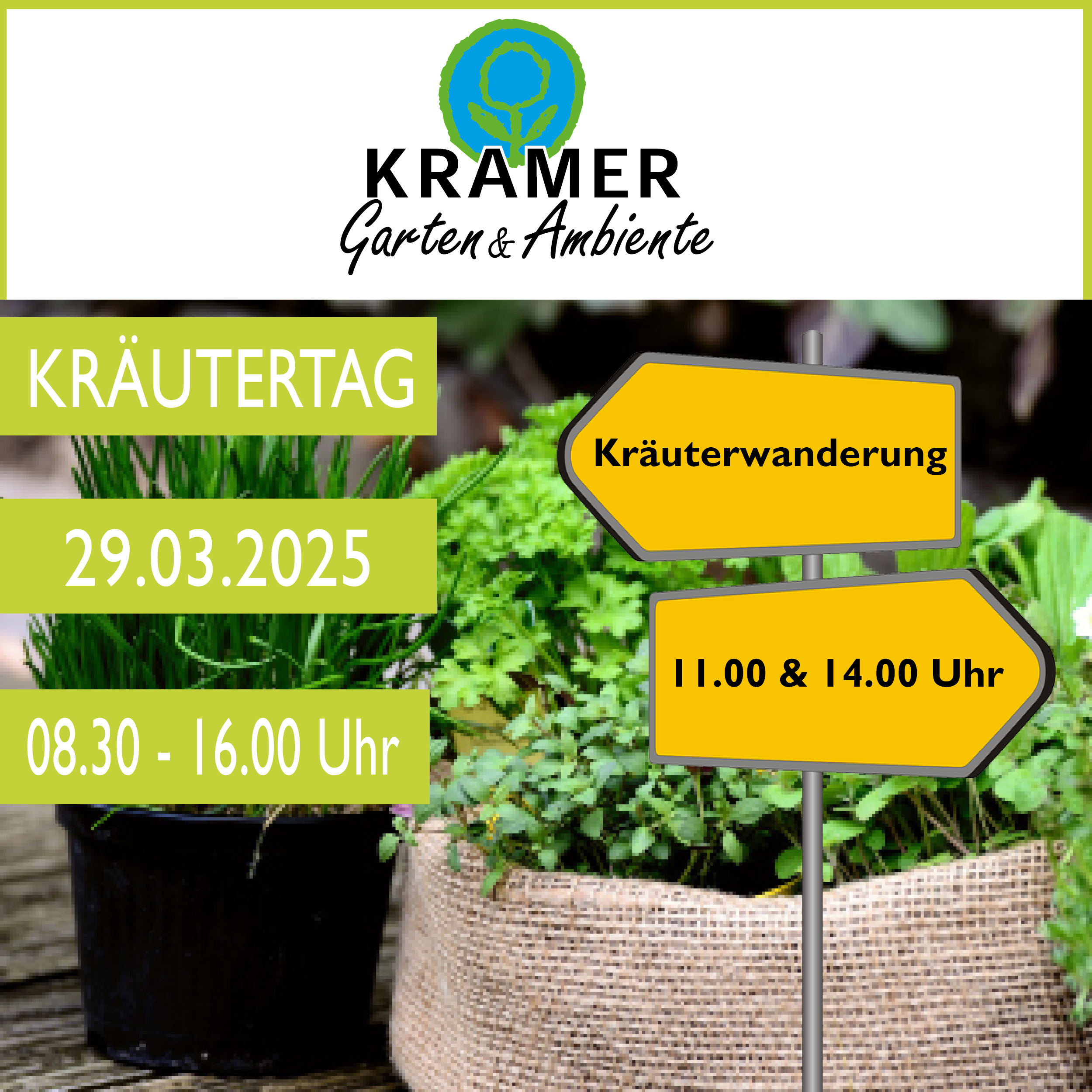 Kräuter, Pflanze, Petersilie, Topfpflanze, Kräuterig, Kräuter, Pflanze, Pflanze im Topf, Petersilie, Kräuterig, Kräuter, Pflanze, Petersilie, Topfpflanze, Kräuterig, Kräuter, Topfpflanze, Petersilie, Kräuterig, Straßenschild