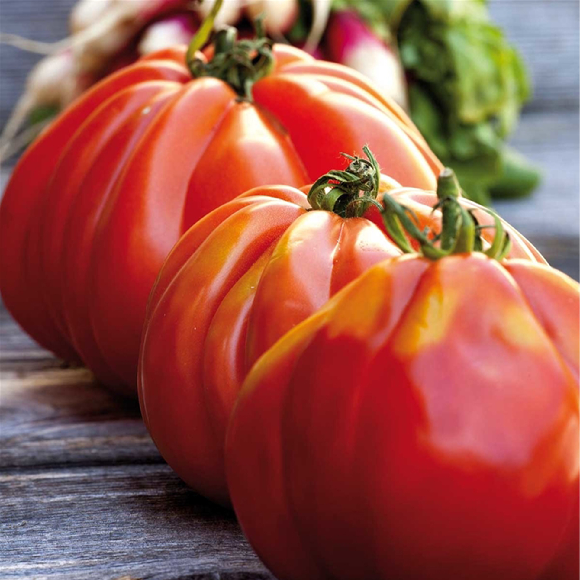 Ochsenherz-Tomate 'Corazon' F1, Tomatenpflanze 12cm Topf