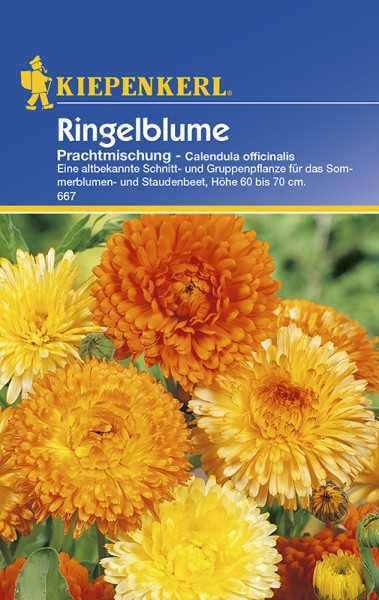 Ringelblume Prachtmischung - Calendula officinalis