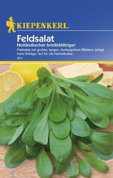 Feldsalat Holländisch breitblättrig