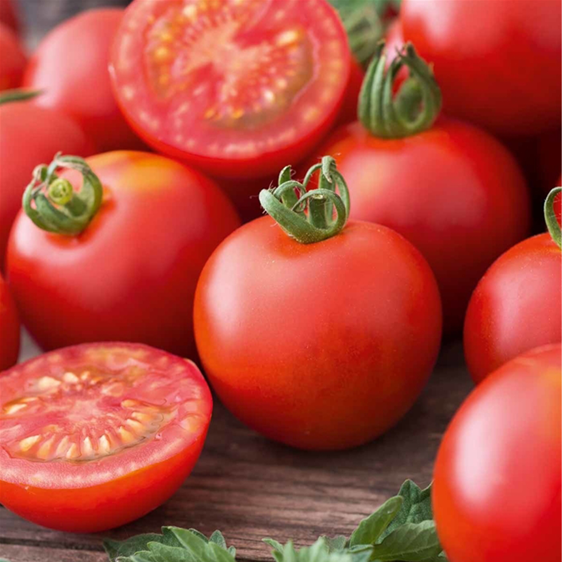 Strauch-Tomate 'Starlias® Red' F1 (Culina), Tomatenpflanze 12cm Topf