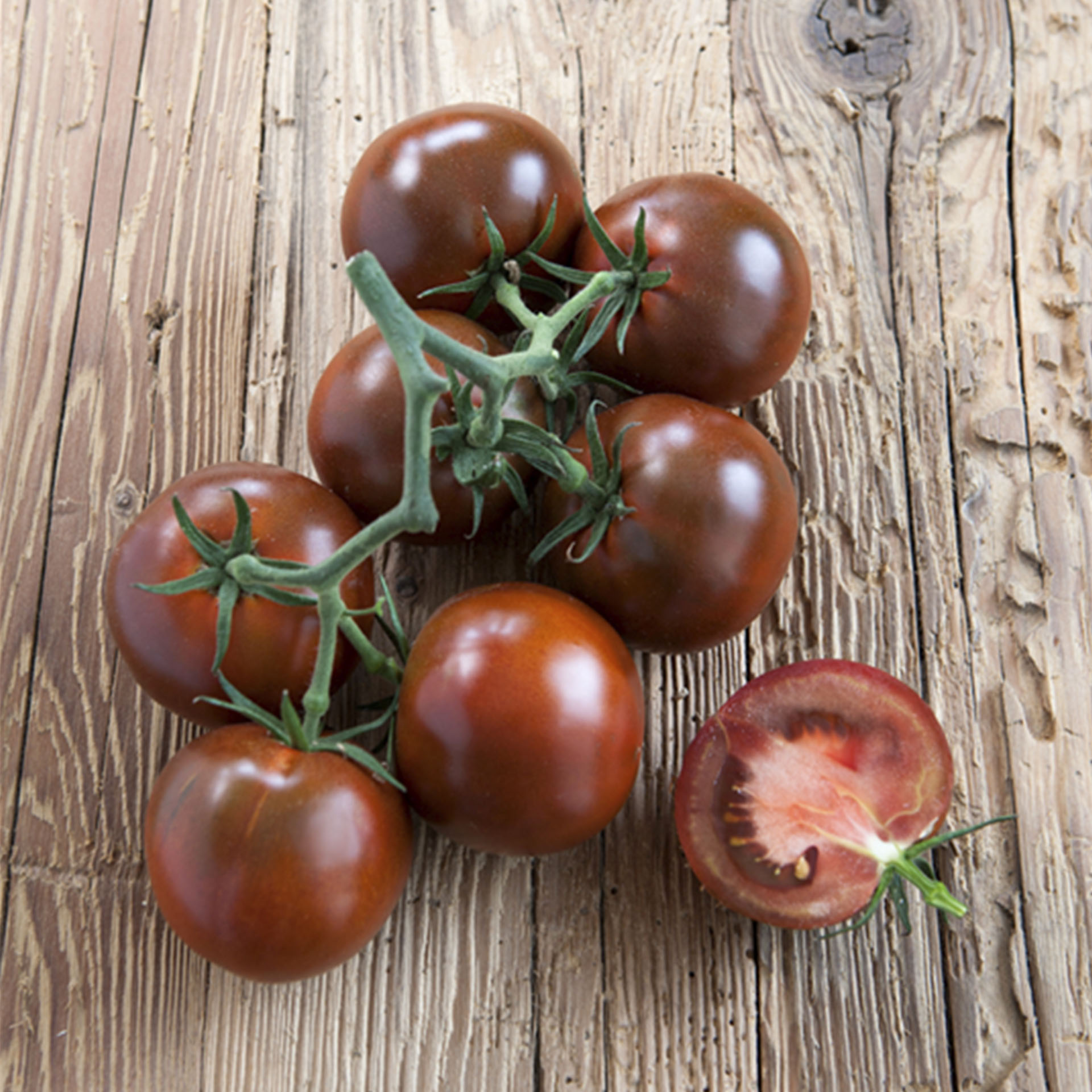 reife, dunkelbraune Früchte der Tomate Starlias Choco an Rispe
